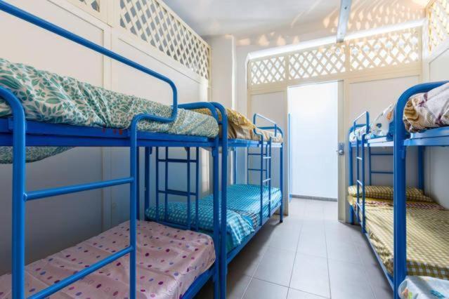Bedcelona Hostel Barcellona Esterno foto